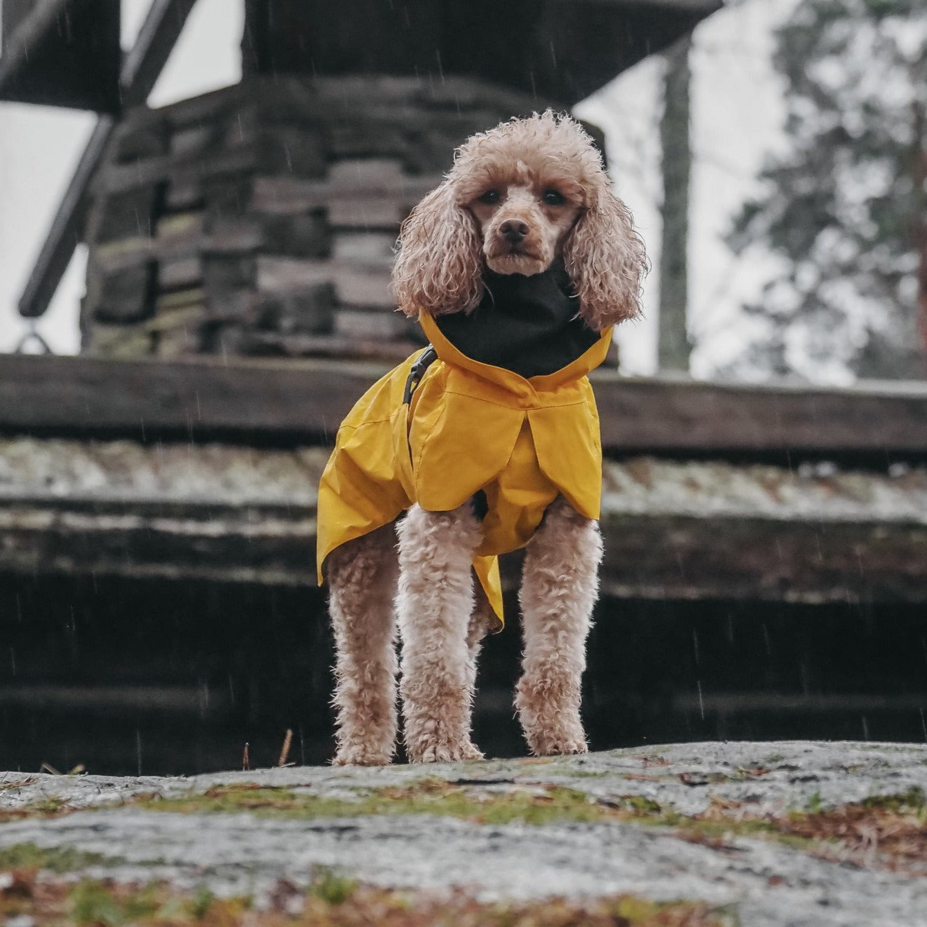 PAIKKA Waterproof Raincoat YELLOW RunWild