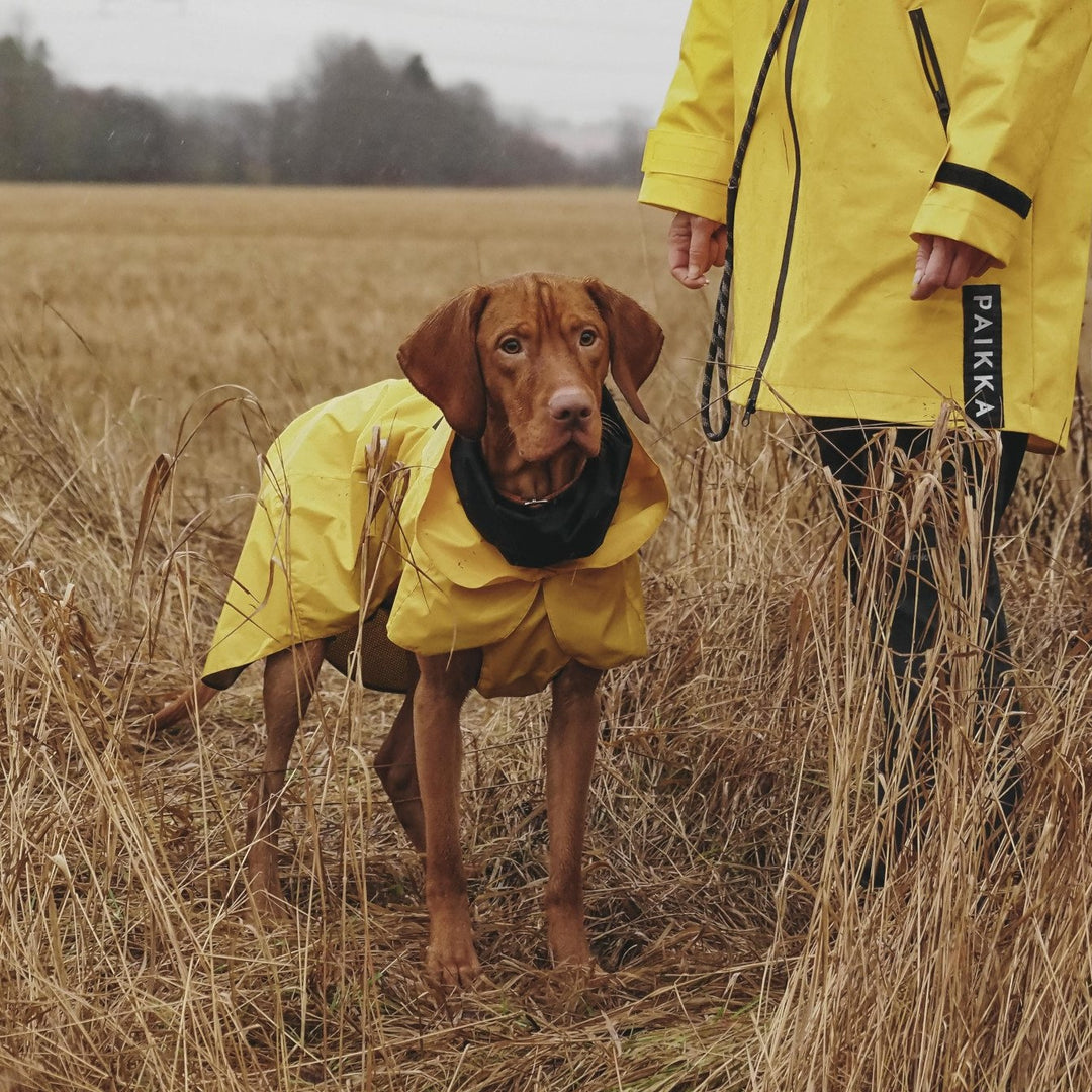 Yellow raincoat nz outlet