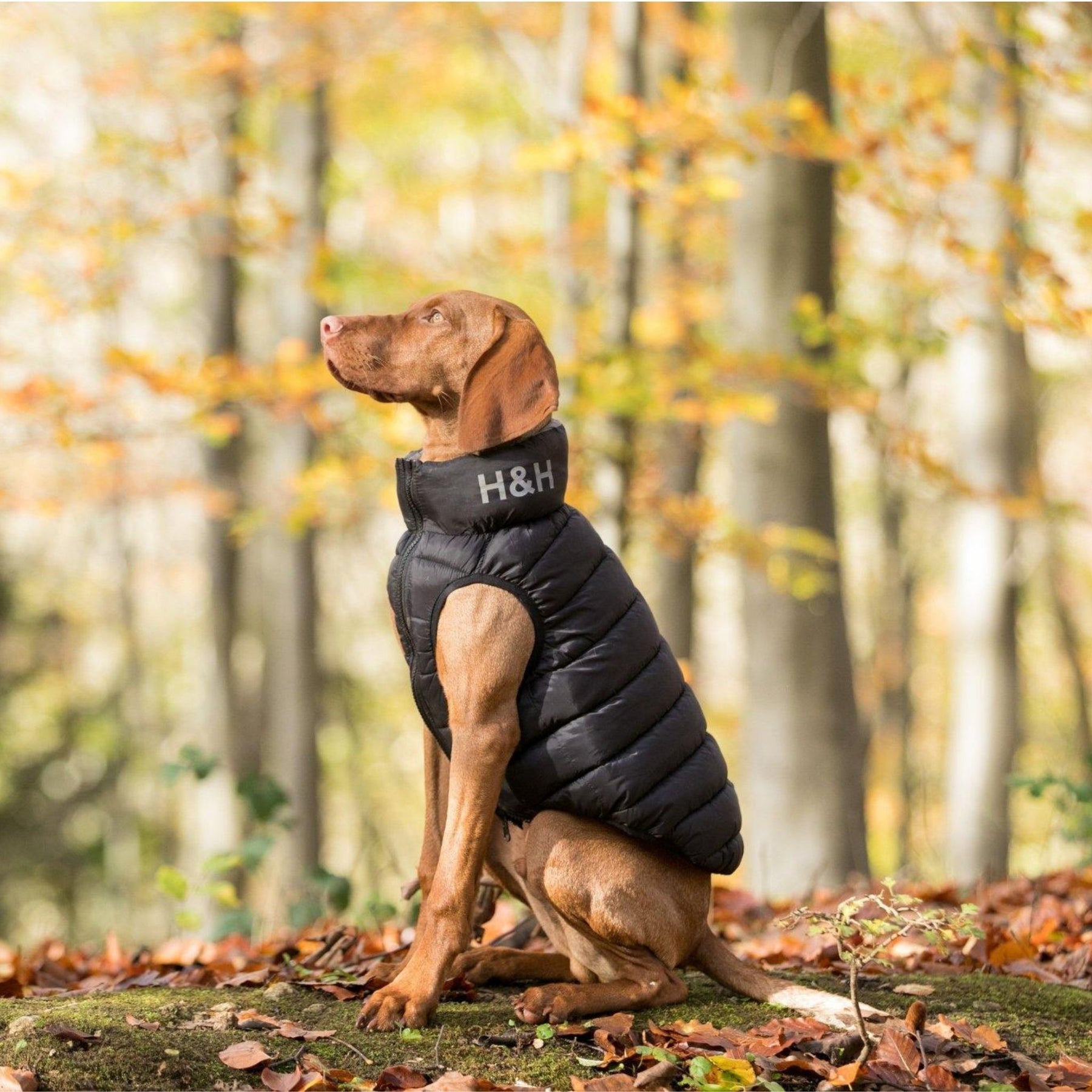 HUGO HUDSON Puffer Jacket Black Grey Reversible RunWild