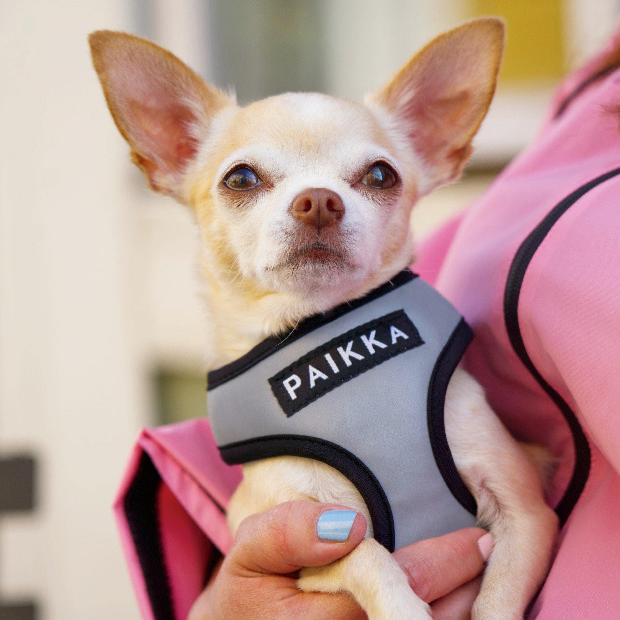 PAIKKA High Visibility Harness for small dogs RunWild
