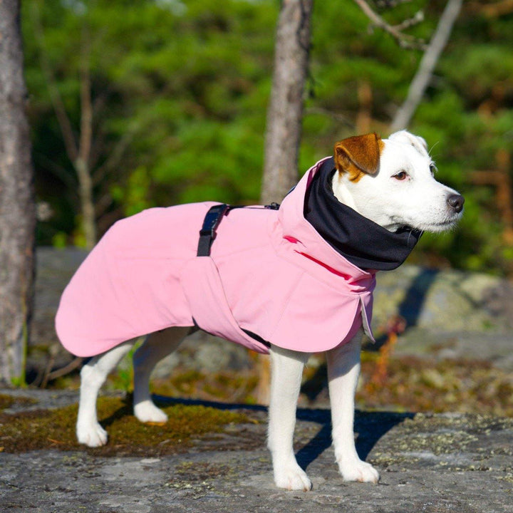 Jack russell winter coats cheap