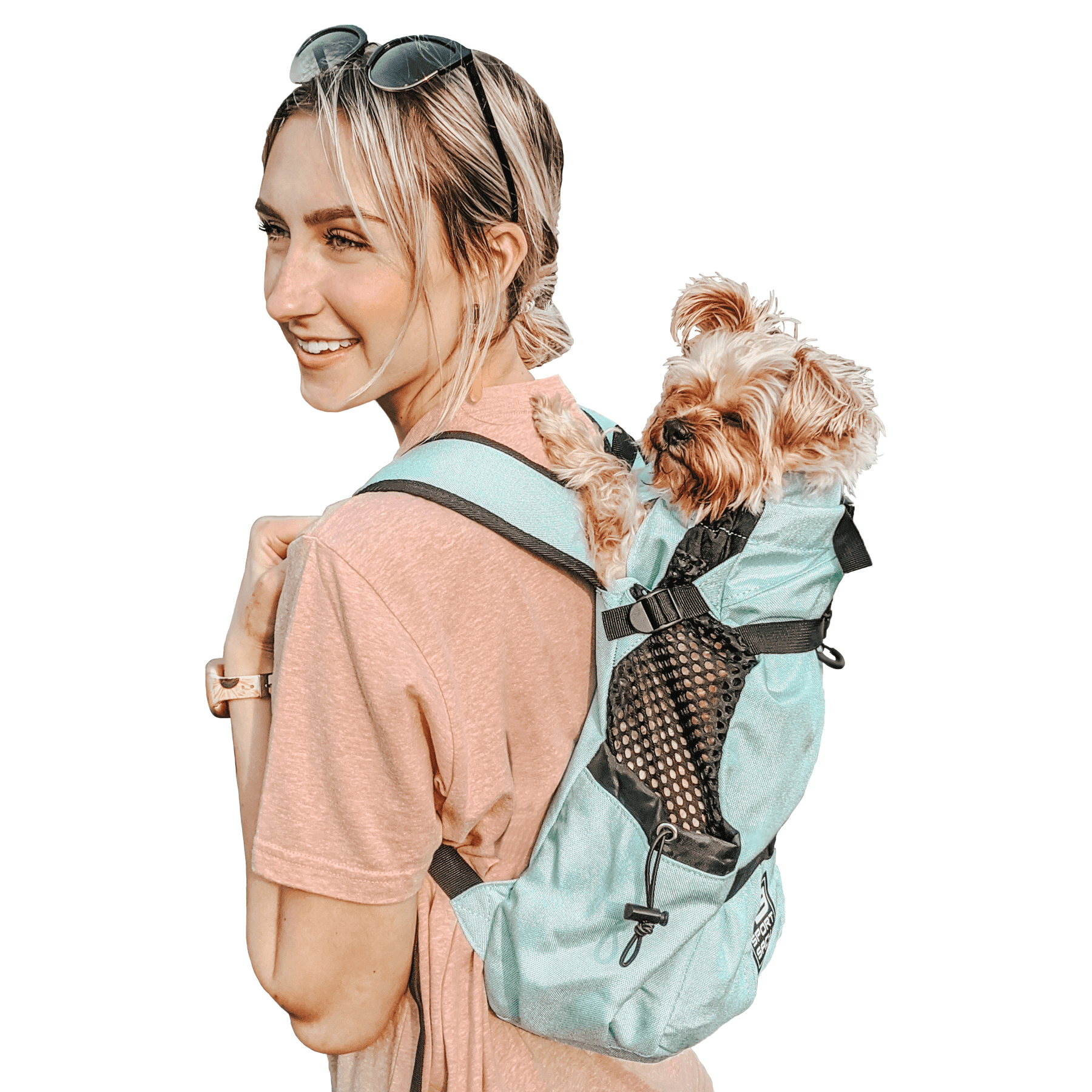 Dog sack carrier cheap