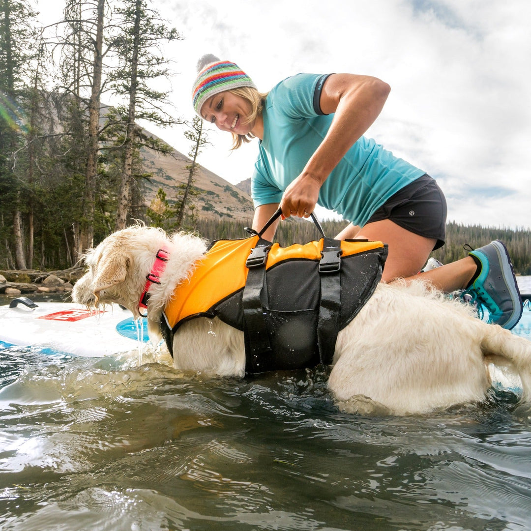 Owner helping a dog wearing a pet life jacket beside a paddleboard in shallow water