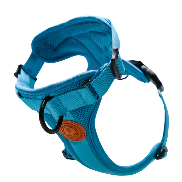 Adventure dog harness sale