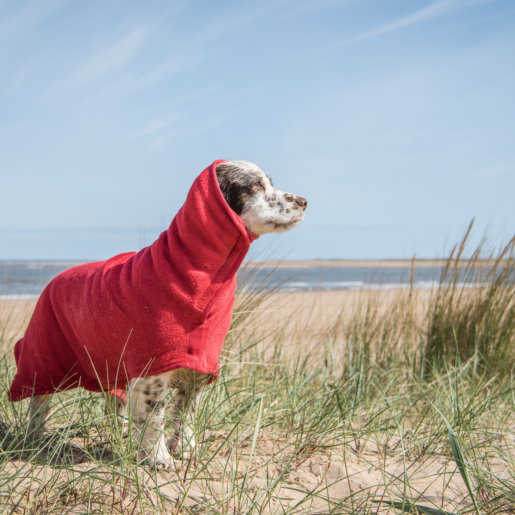 Red Ruff Ruff RUFF & TUMBLE Dog Towel Drying Coat - Red – RunWild